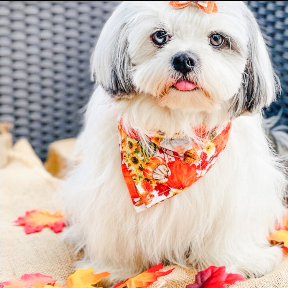 KW Bandanas fall bandana